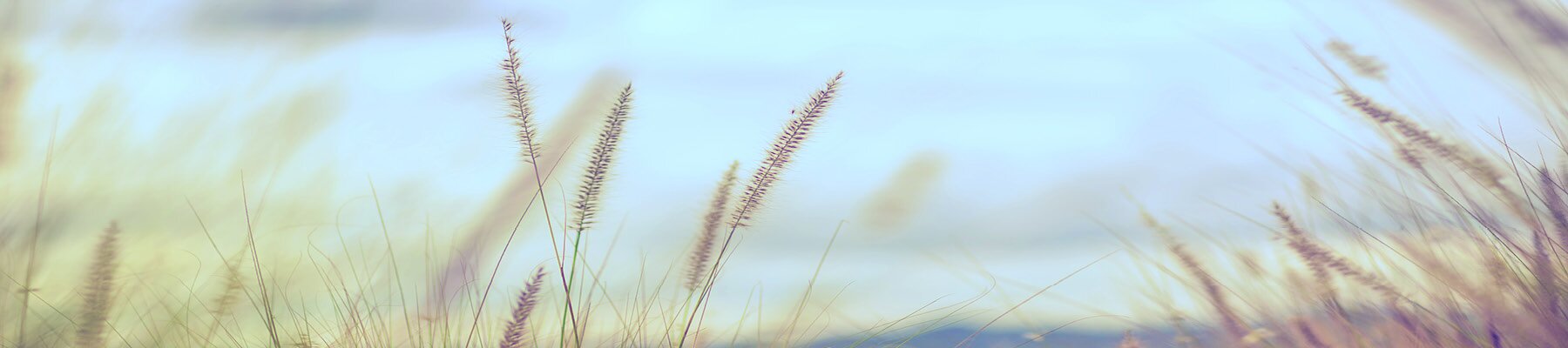 Stay at Home | Sell Your Home